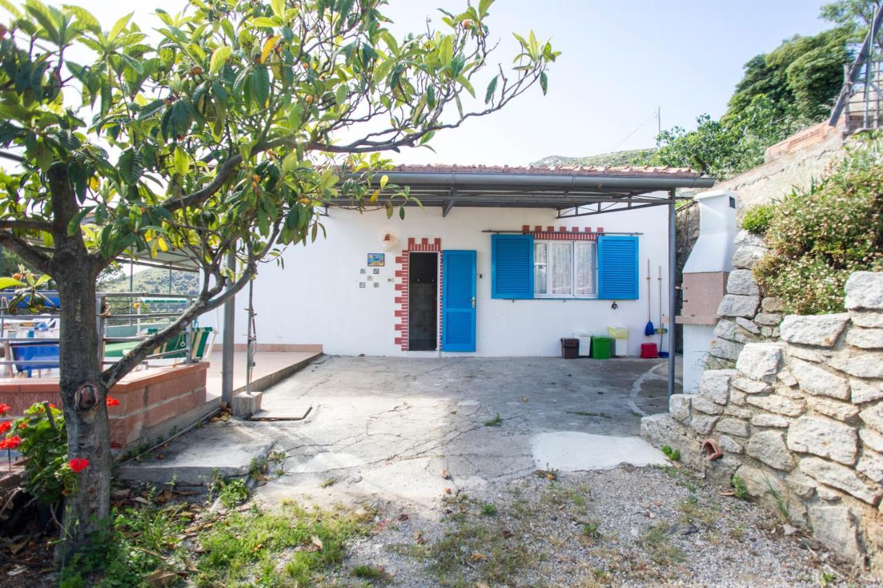 Villa La Terrazza Sul Mare - Goelba Fetovaia Dış mekan fotoğraf